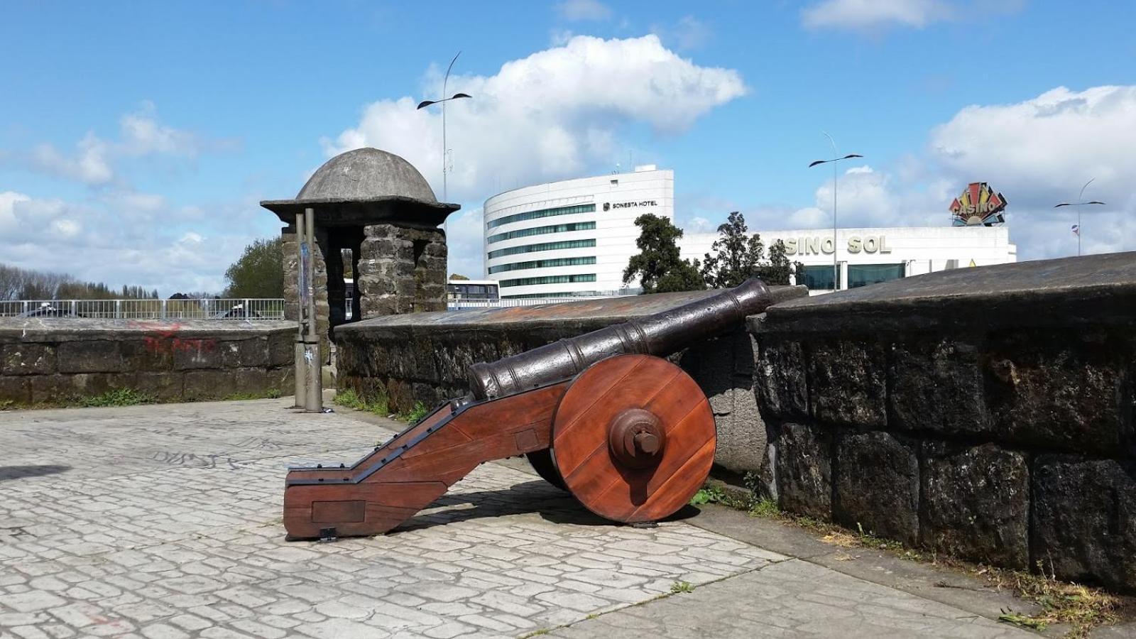 Geranios Osorno