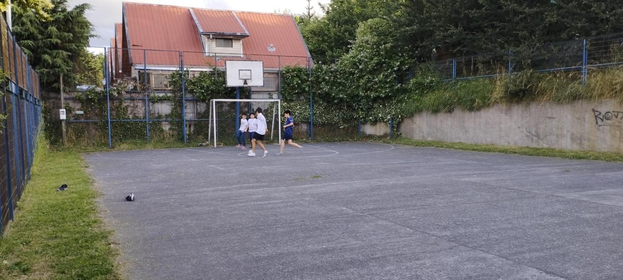 Geranios * Osorno